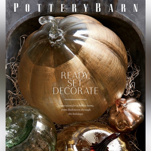 Pottery Barn Other - Pottery barn linen pumpkin stunning sold out